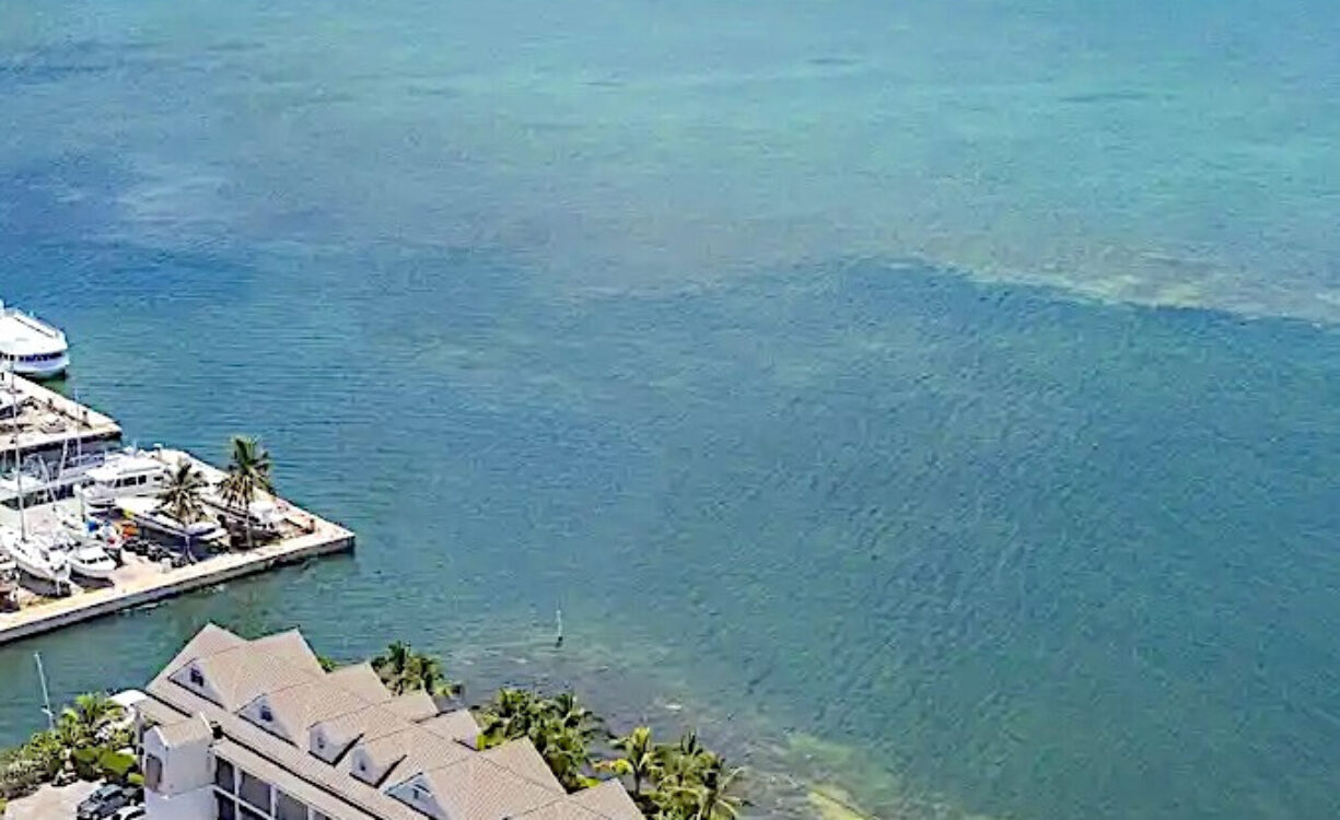 HARBOUR POINT OCEANFRONT 3 BED PLUS OFFICE