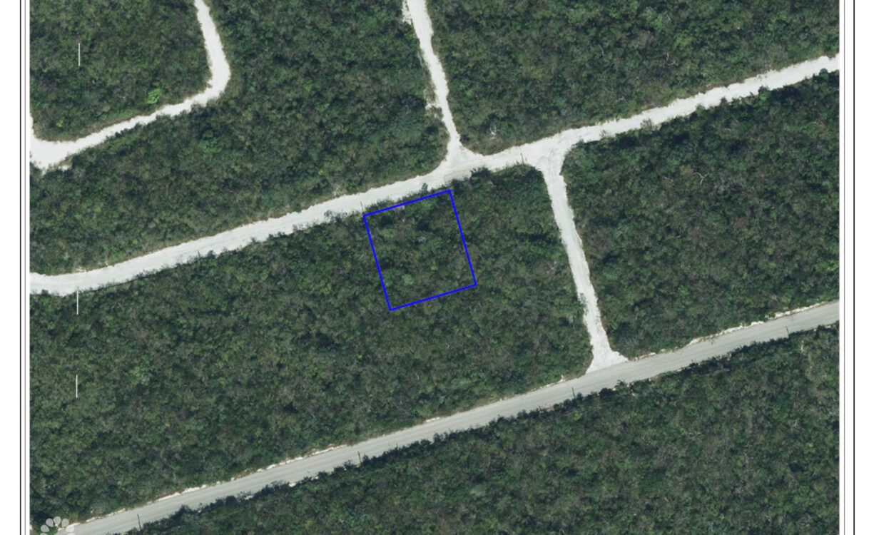 CAYMAN BRAC LOT ON BLUFF AT SELWORTHY GROVES