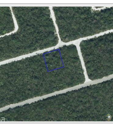 CAYMAN BRAC LOT ON BLUFF AT SELWORTHY GROVES