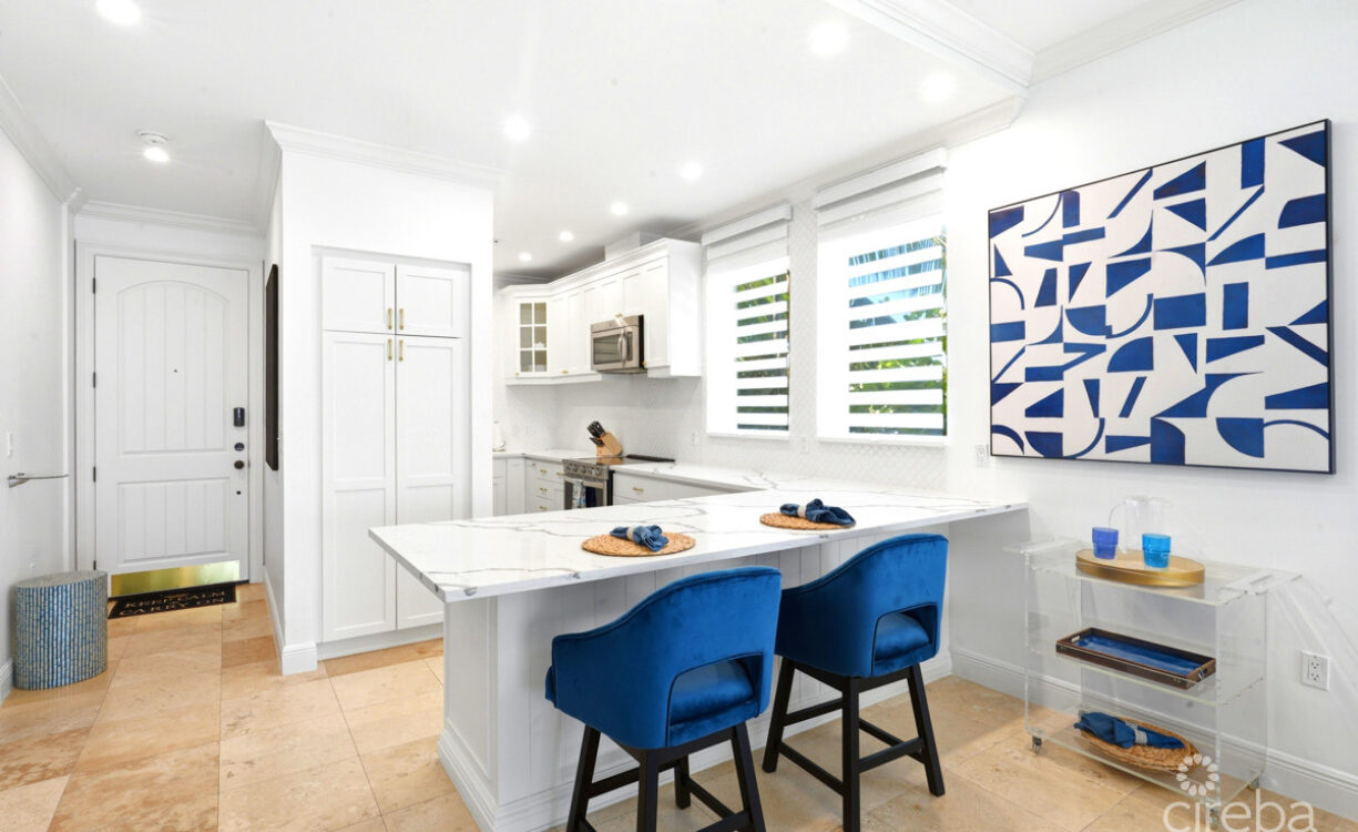 #205 KISHA | PRICELESS OCEANFRONT VIEWS, UNDER A MILLION