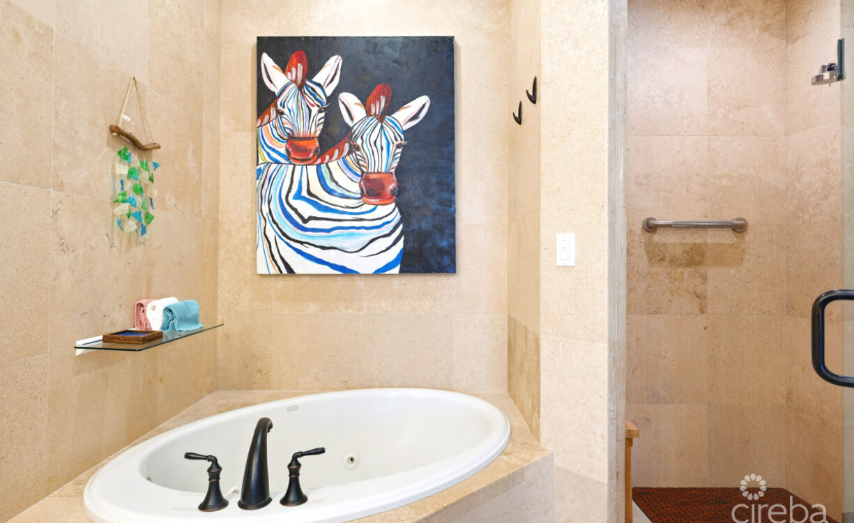#205 KISHA | PRICELESS OCEANFRONT VIEWS, UNDER A MILLION