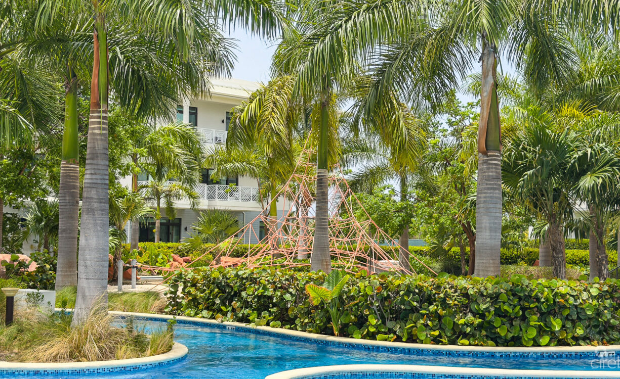 OLEA - 1 BED CONDO